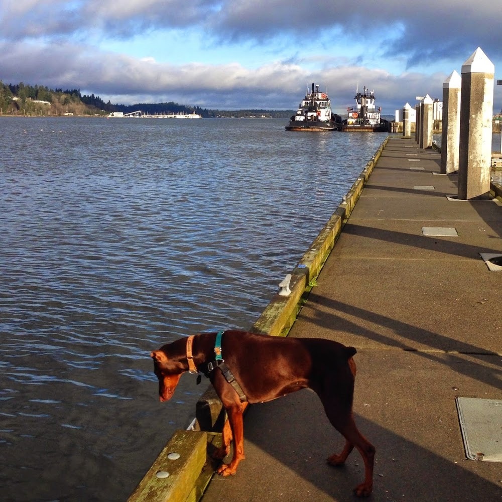 Meet your Posher, Tamara